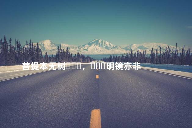 菩提本无树，明镜亦非台的意思
